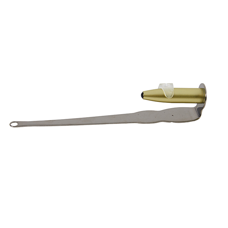 ~귀지 토니실 결석 제거 도구 LED 조명 스테인레스  - Ear Wax Remover 리뷰 및 가격