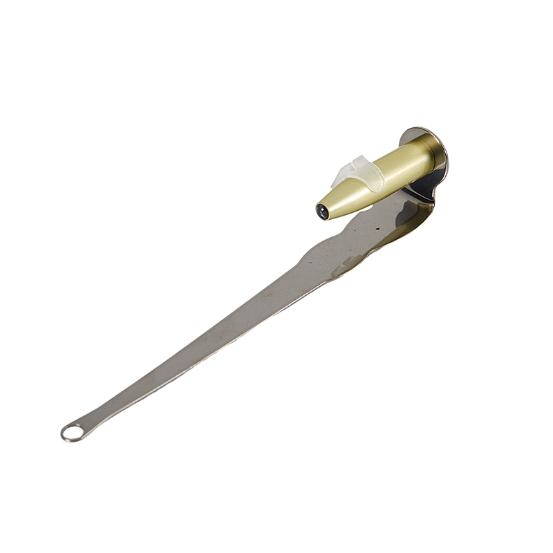 ~귀지 토니실 결석 제거 도구 LED 조명 스테인레스  - Ear Wax Remover 리뷰 및 가격